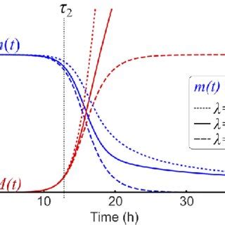 Is mass size dependent?