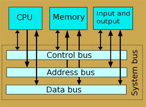 Is memory a computer bus?