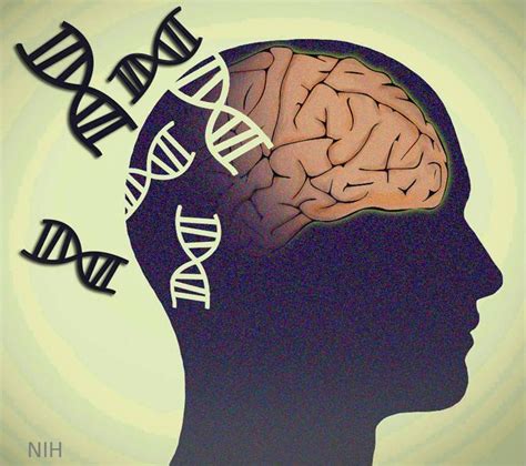 Is mental health genetic?