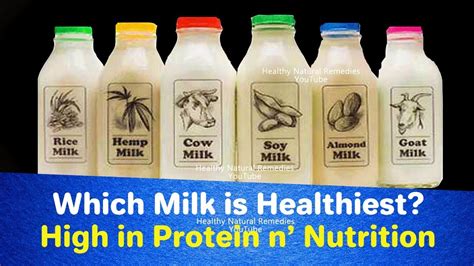 Is milk a protein or fat?