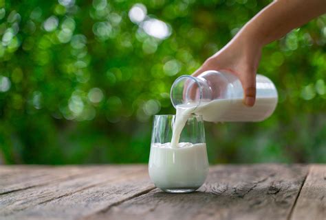 Is milk bad for arthritis?