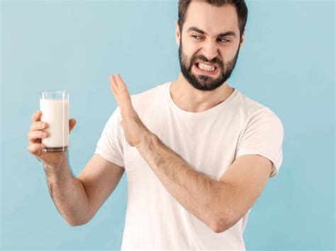 Is milk bad for labs?