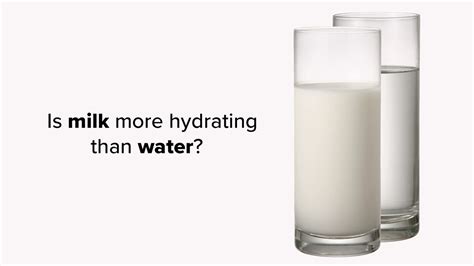 Is milk really more hydrating than water?