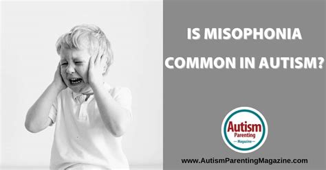 Is misophonia an autism?