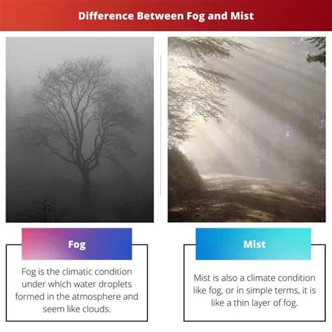 Is mist better than fog?