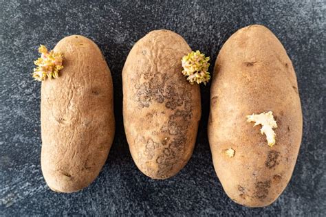 Is mold on potatoes bad?
