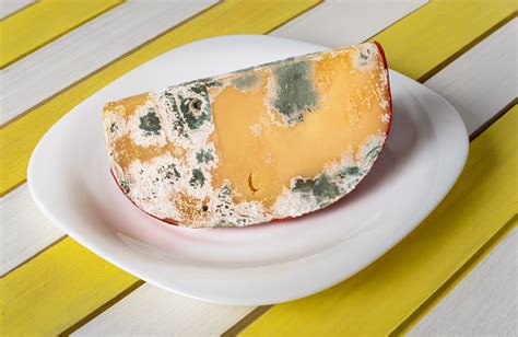 Is moldy cheese OK to eat?