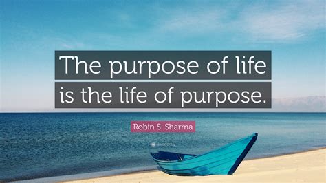 Is money the purpose of life?