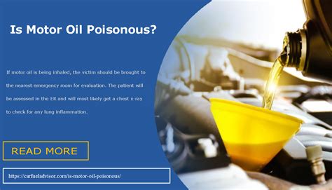 Is motor oil toxic to plants?