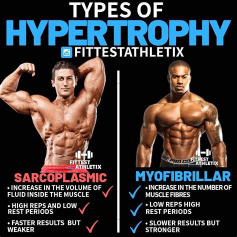 Is muscle hypertrophy bad?