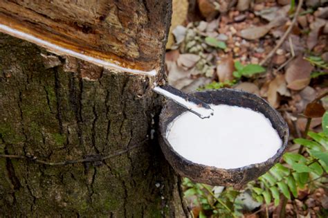 Is natural rubber more expensive?