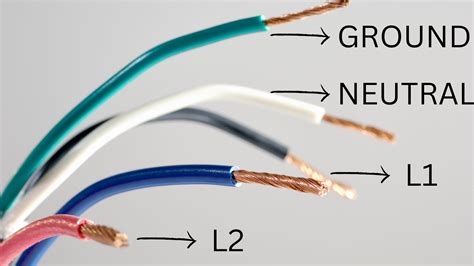 Is neutral L1 or L2?