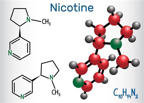 Is nicotine a vitamin?