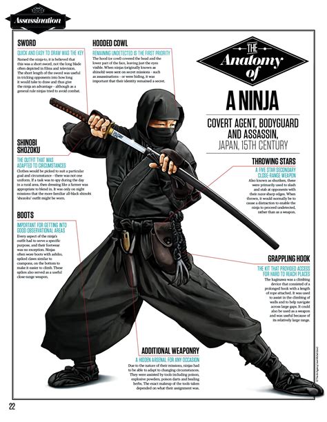 Is ninja art real?