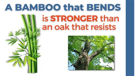 Is oak stronger than bamboo?
