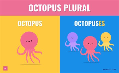 Is octopus a plural?