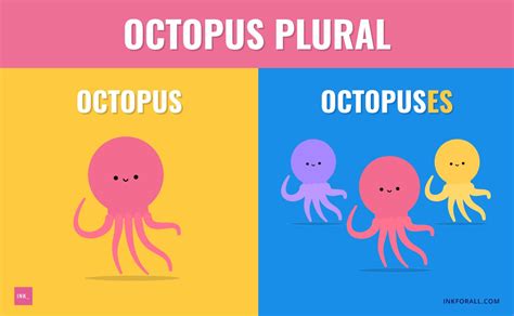 Is octopuses a plural?