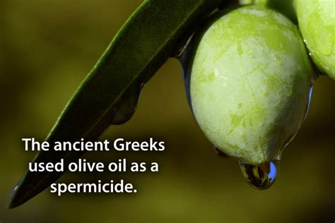 Is olive oil a spermicidal?