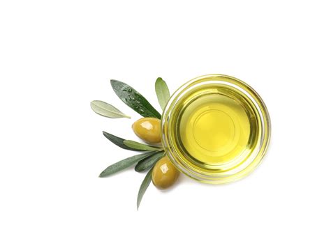 Is olive oil an antibacterial oil?