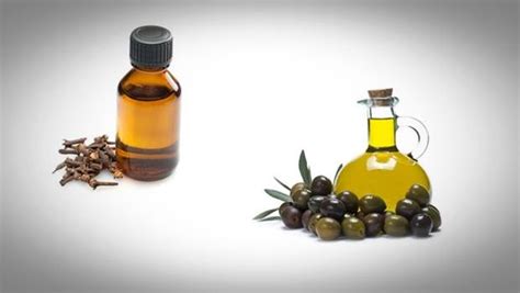 Is olive oil good for swollen gums?