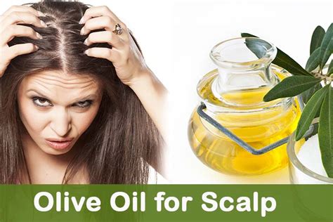 Is olive oil good for your scalp?