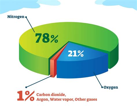 Is our air 100% oxygen?