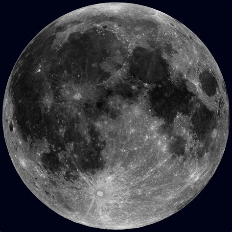 Is our moon unique?