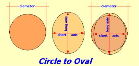 Is oval a circle?