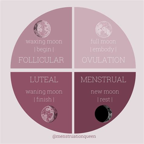 Is ovulation on the full moon?