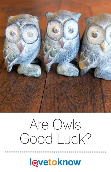 Is owl good luck for home?