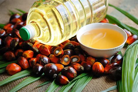 Is palm oil a bad fat?