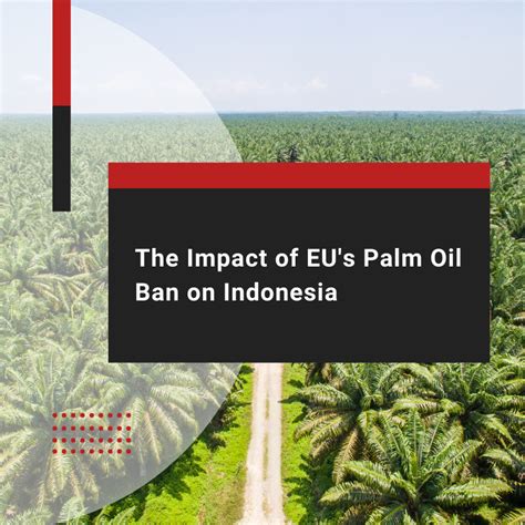 Is palm oil banned in Europe?