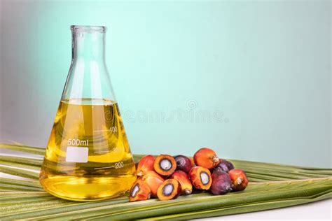 Is palm oil used in biodiesel?