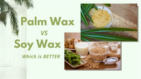 Is palm wax better than soy?