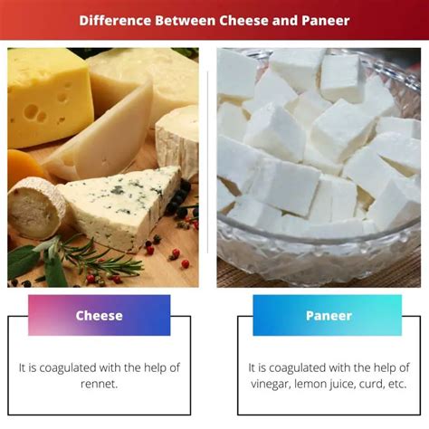 Is paneer like normal cheese?