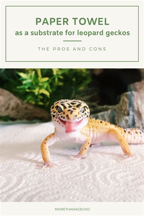 Is paper towel good for leopard geckos?