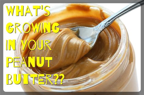 Is peanut butter a carcinogen?