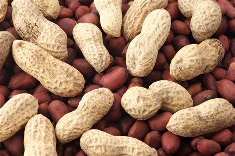 Is peanuts bad for gout?