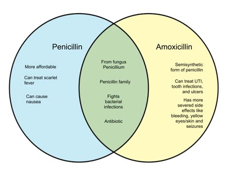 Is penicillin and amoxicillin the same thing?