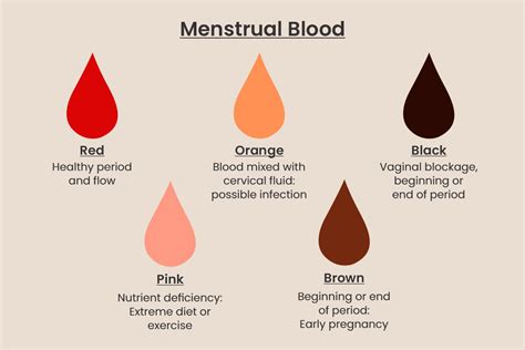 Is period blood rich in protein?