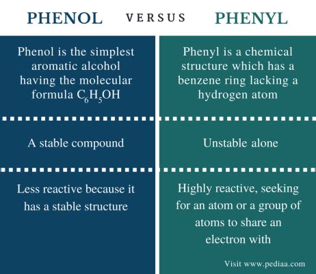 Is phenyl and phenol the same?