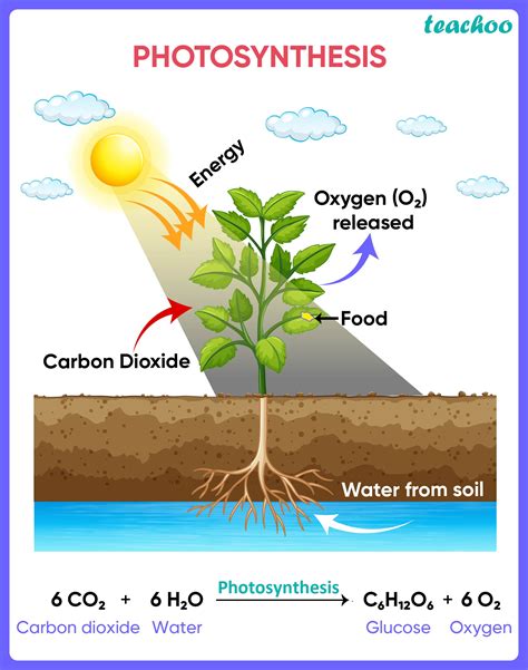 Is photosynthesis a chemical change?