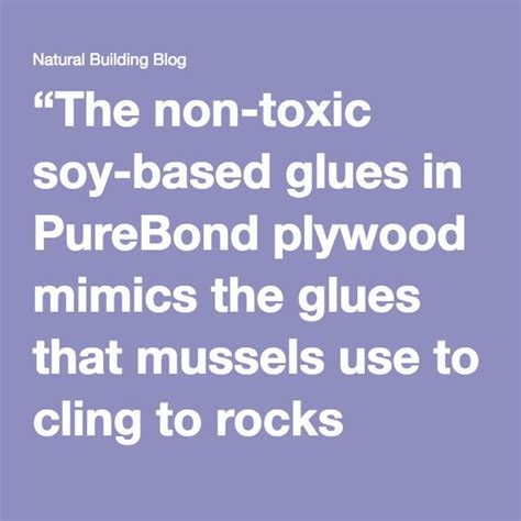 Is plywood glue toxic?