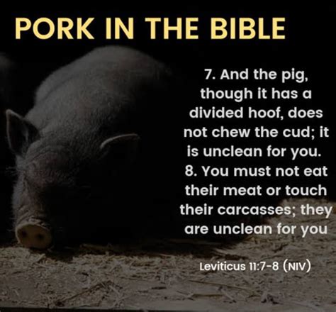 Is pork banned in Christianity?