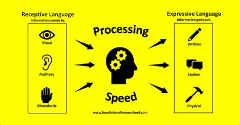 Is processing speed part of intelligence?