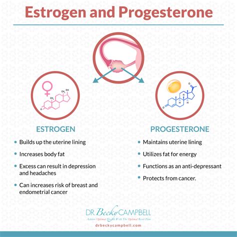 Is progesterone a beauty hormone?