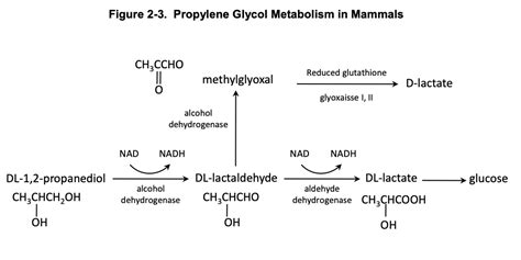 Is propylene glycol toxic to the liver?