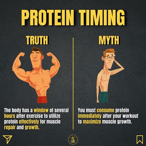 Is protein timing a myth?