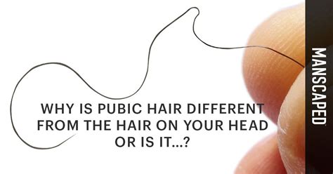 Is pubic hair different from leg hair?