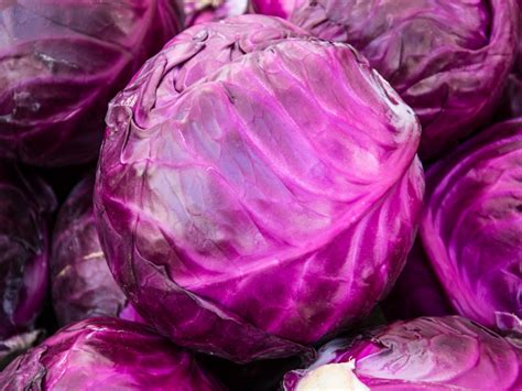 Is purple cabbage supposed to be blue?